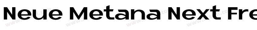 Neue Metana Next Fre字体转换